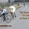 The Importance of Cadence in Your Training