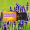 REST & Serenity Essential Oil