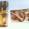 Sourcing Hawaiian Sandalwood Essential Oil