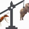 Allow Your Ant To Be As Big As Your Elephant