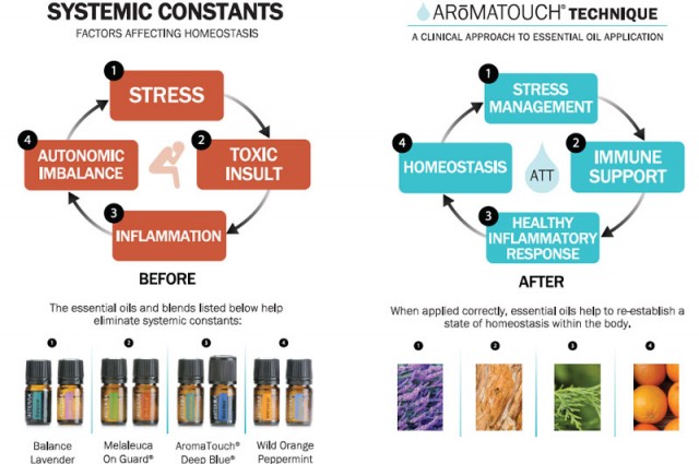 aromatouch-systemic-constants