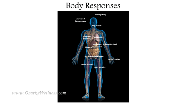 body responses