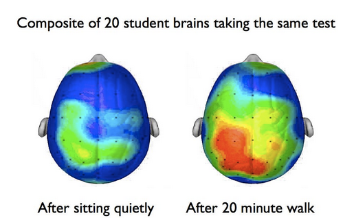 brain exercise