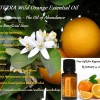 doTERRA Wild Orange Essential Oil ~ Free gift for Registering for the Wellness Workshop by January 5, 2015