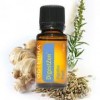 DigestZen Essential Oil Blend