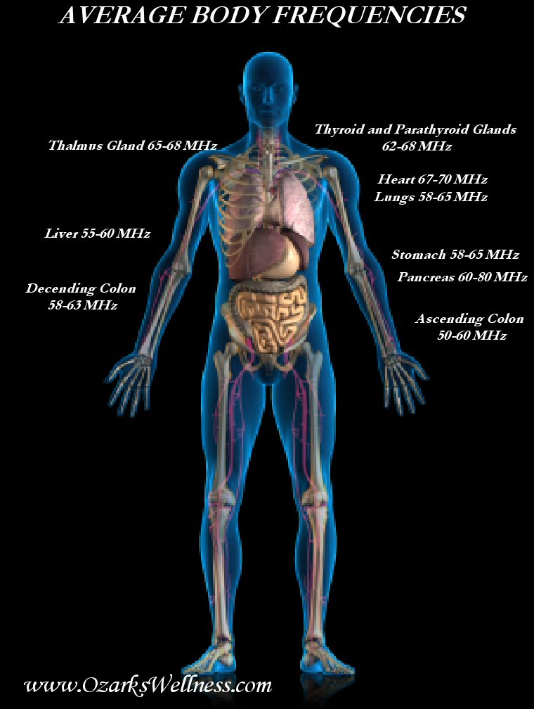 ozarks-wellness-center-frequency-with-regards-to-healing