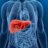 Dr. Axe and How To Cleanse Your Liver