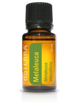 melaleuca