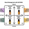 Essential Oils For Mood Management Needs