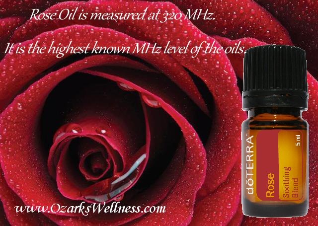 rose doTERRA